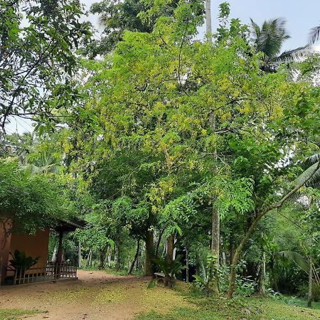 Nature'S Hideout Holiday Home Mirigama Exterior foto