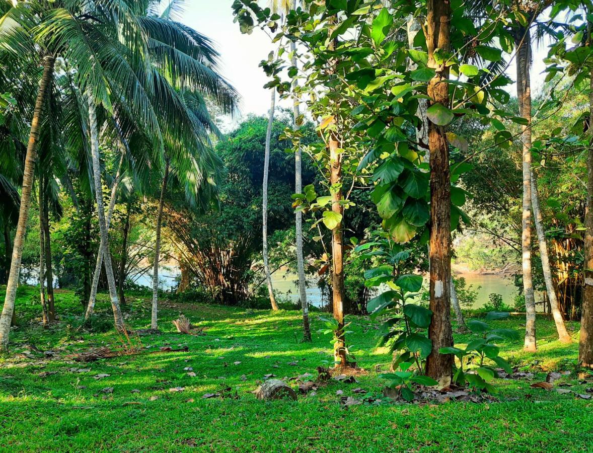 Nature'S Hideout Holiday Home Mirigama Exterior foto