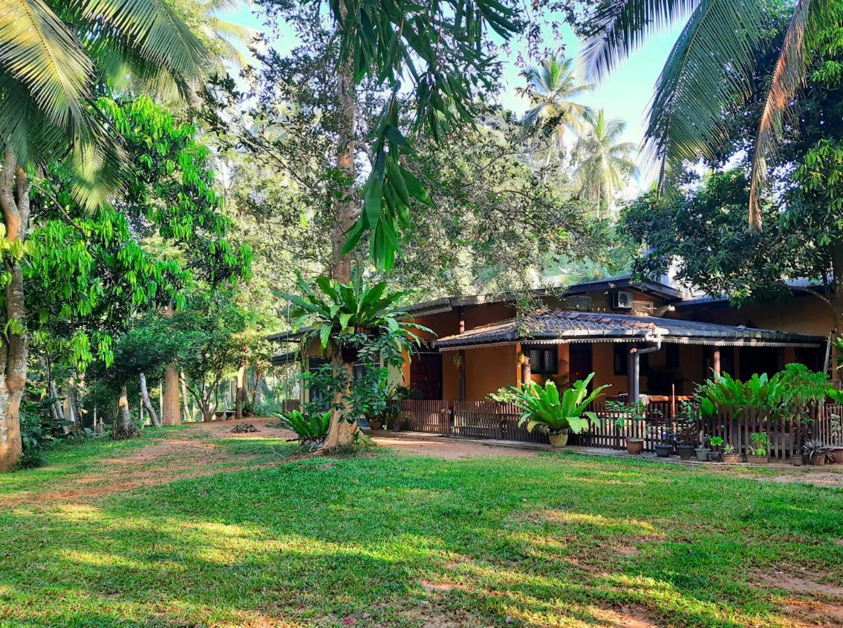 Nature'S Hideout Holiday Home Mirigama Exterior foto