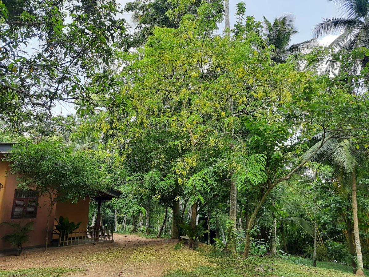 Nature'S Hideout Holiday Home Mirigama Exterior foto
