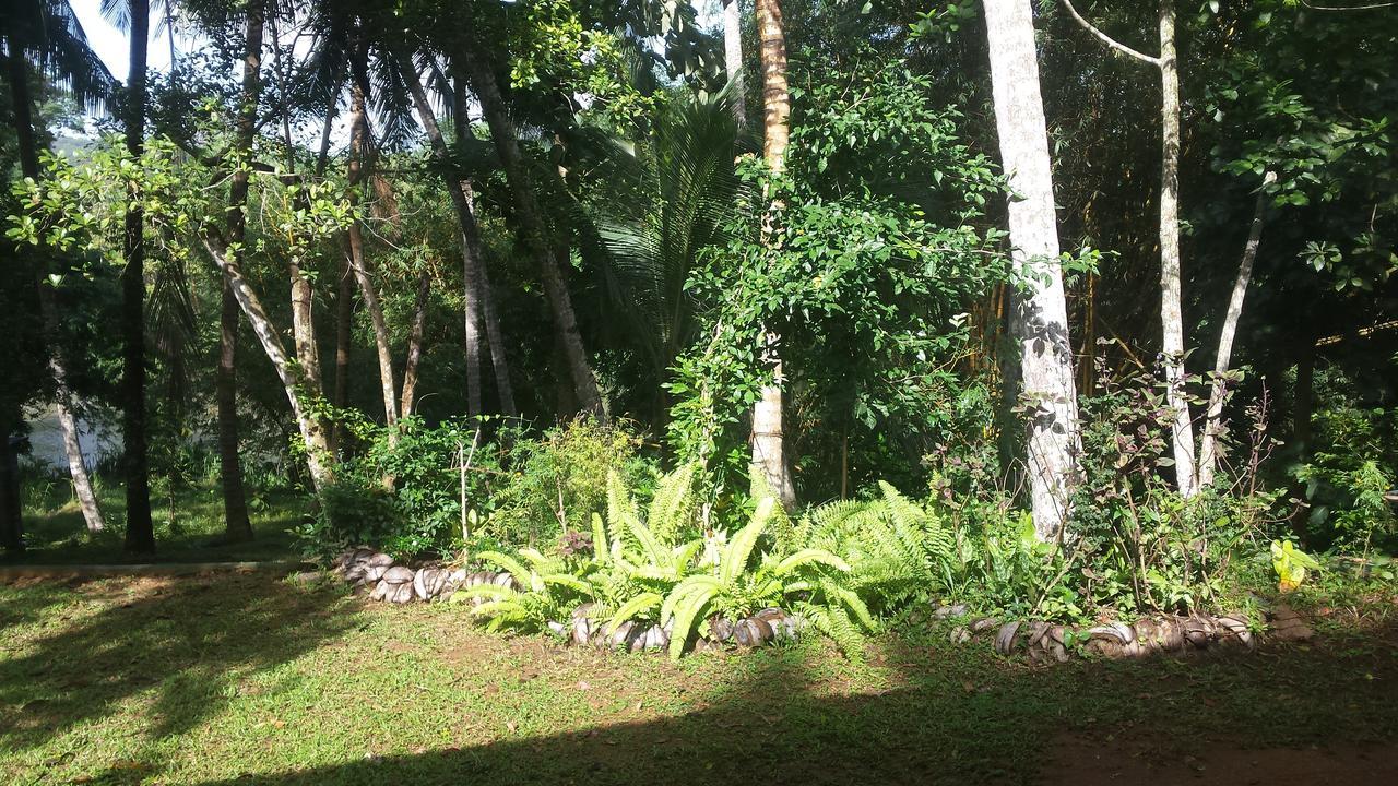 Nature'S Hideout Holiday Home Mirigama Exterior foto